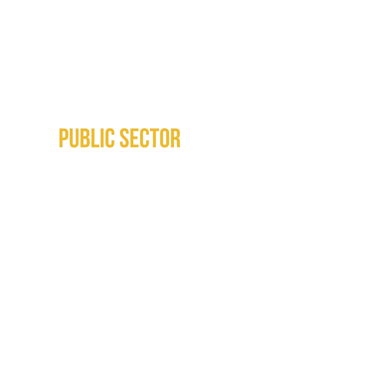 Public Sector Executive