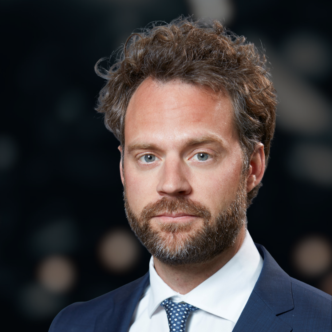 Mikael Wigell, Professio