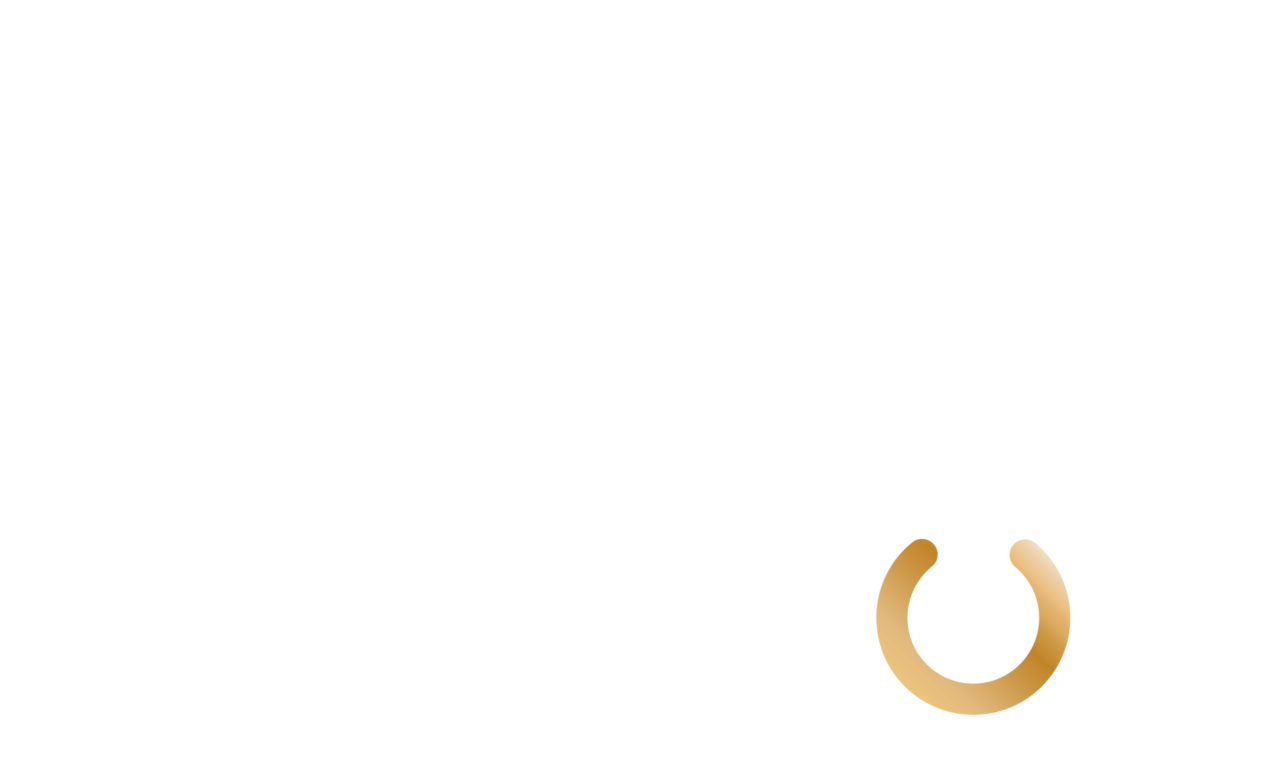 CIO Nordic 2027