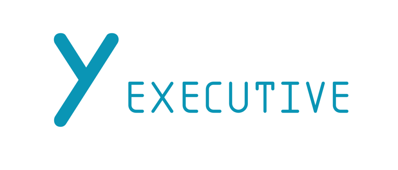 Cyber Security Executive 2027